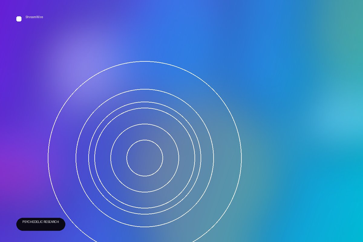 Psychedelics and Meditation Reveal Subconscious Maps of the Self — ShroomWire