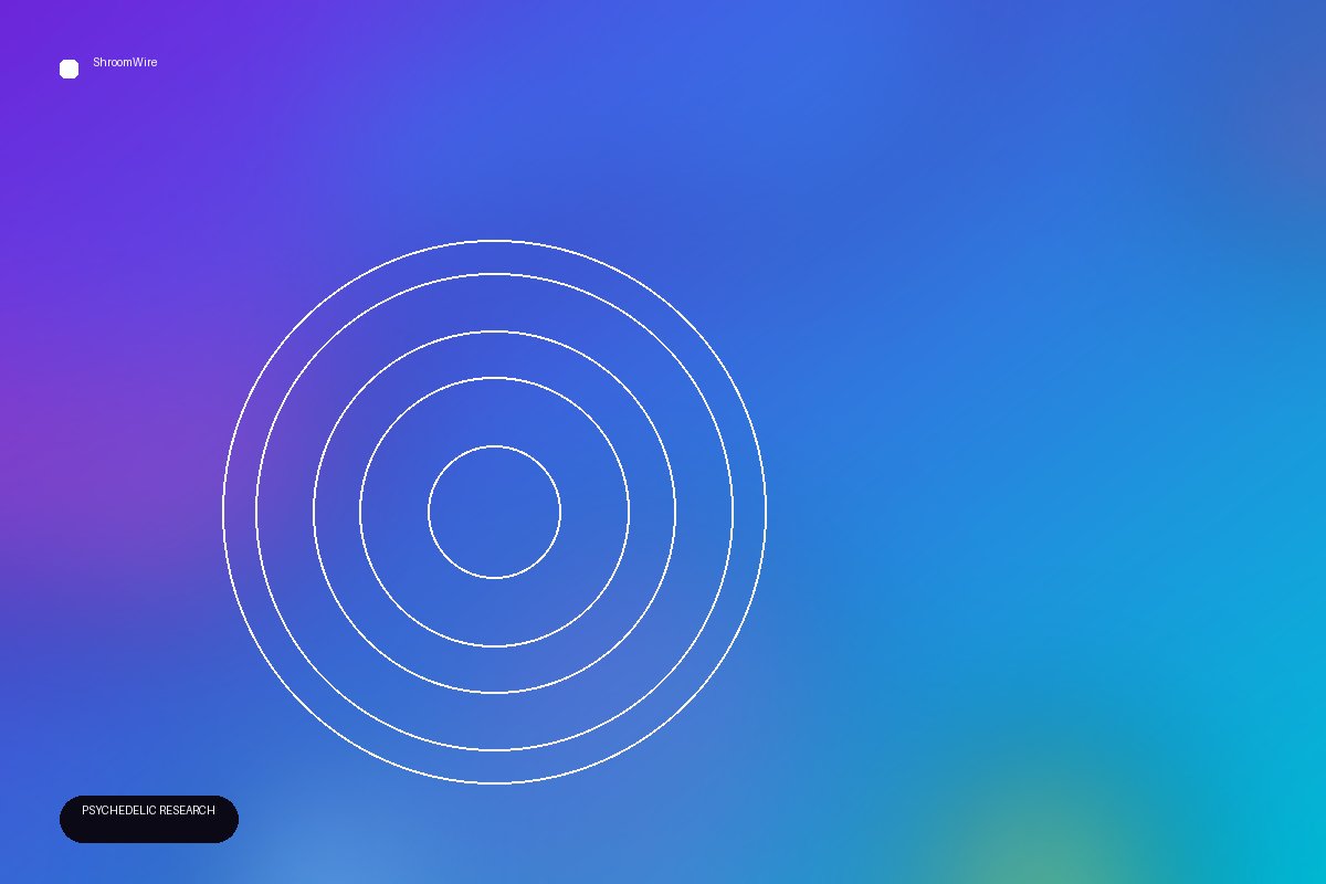 Methodologies in Psychedelic Therapy: The Missing Puzzle Pieces — ShroomWire