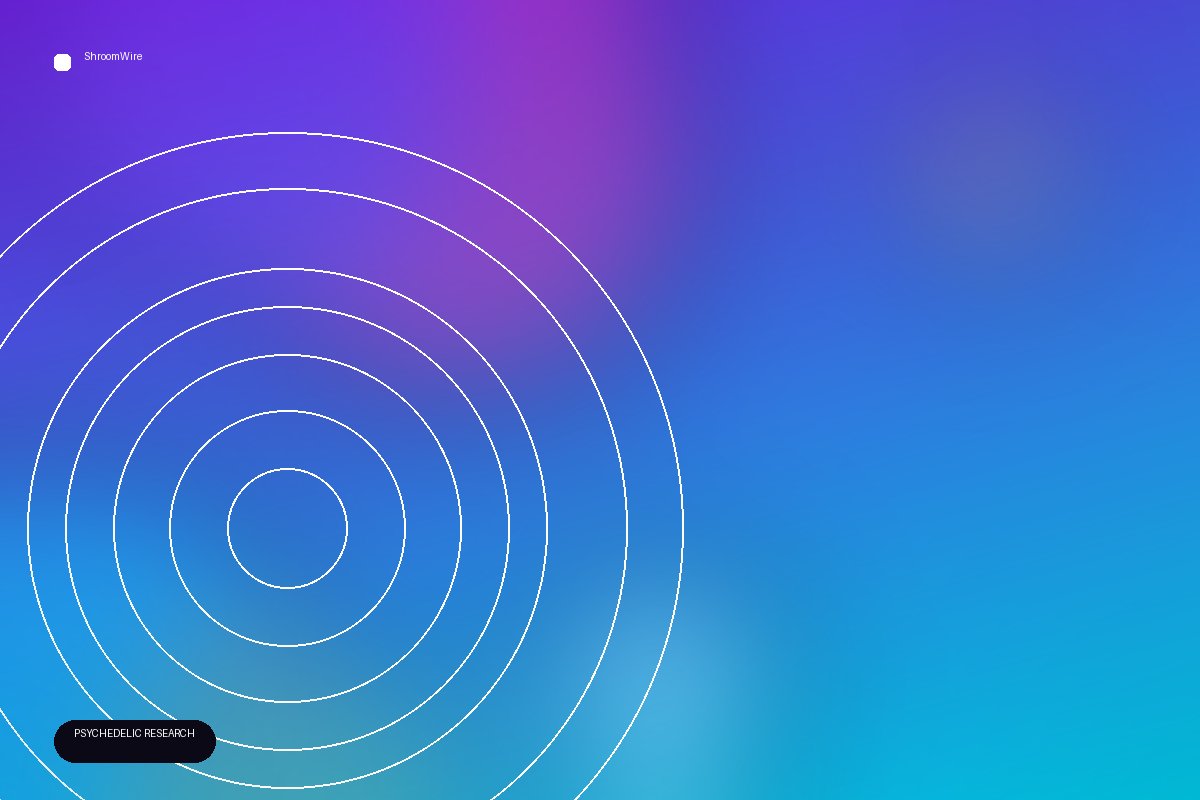 Psychedelics and Meditation Rewire the Brain for Healing — ShroomWire